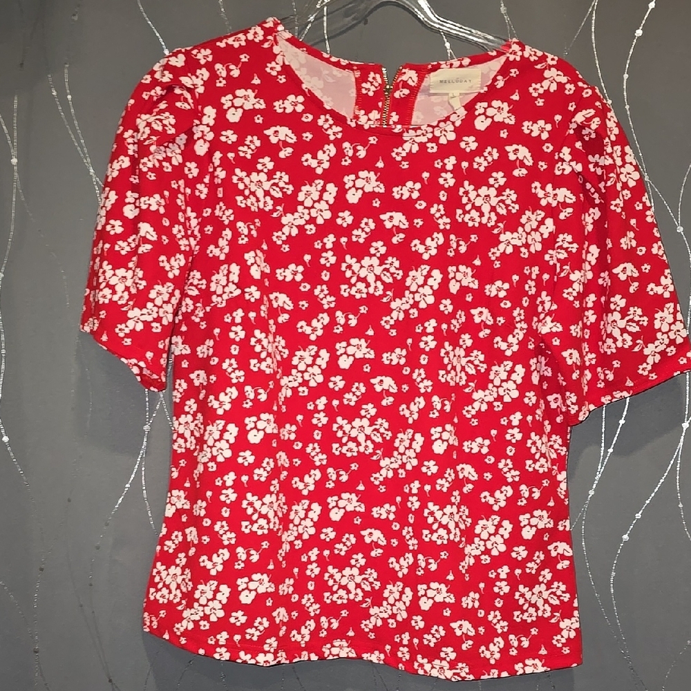 Red Mandarin Collar Short Sleeve Blouse